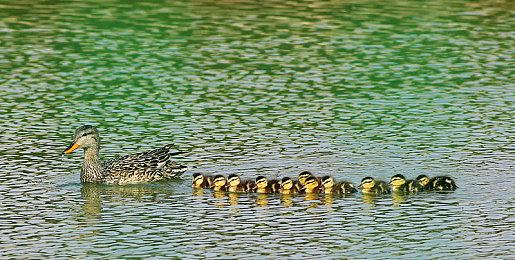 未来游戏展：《涡轮高尔夫赛车》公布首发预告